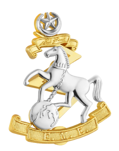 badge